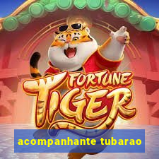 acompanhante tubarao